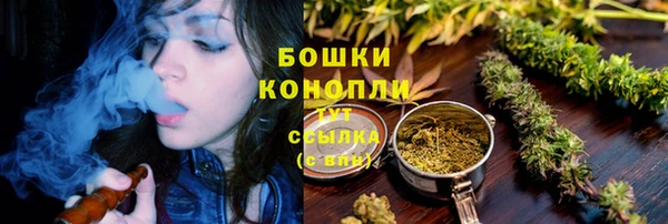 ECSTASY Балахна
