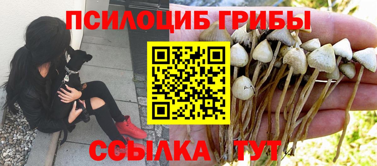 Видное  Псилоцибиновые грибы мухоморы  Вход с VPN 