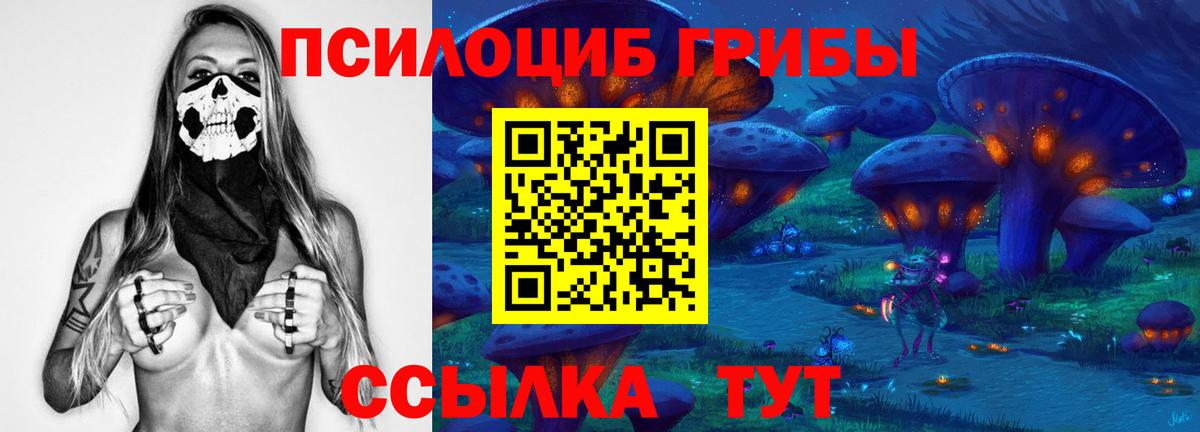 Галлюциногенные грибы мухоморы  Псилоцибиновые грибы прущие грибы  Видное 